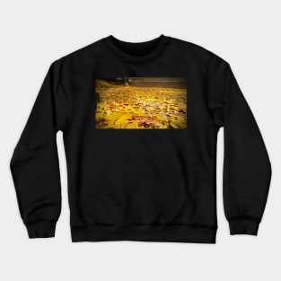 Path of Golden Leaves Crewneck Sweatshirt